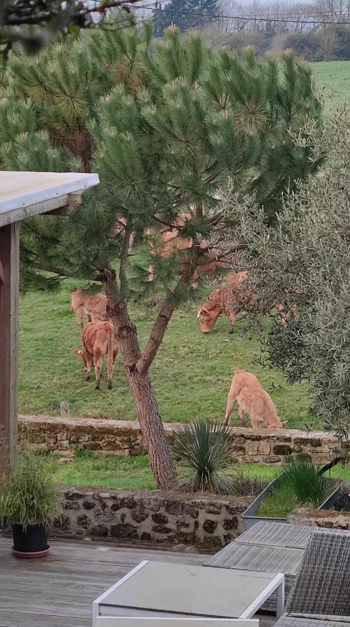 Gite A La Campagne Saint-Brice-sur-Vienne Exteriér fotografie